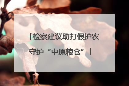 检察建议助打假护农守护“中原粮仓”