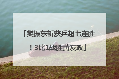 樊振东斩获乒超七连胜！3比1战胜黄友政