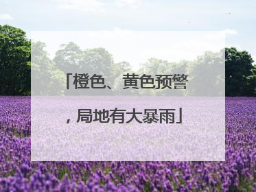 橙色、黄色预警，局地有大暴雨