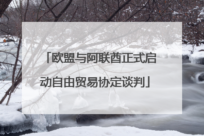 欧盟与阿联酋正式启动自由贸易协定谈判