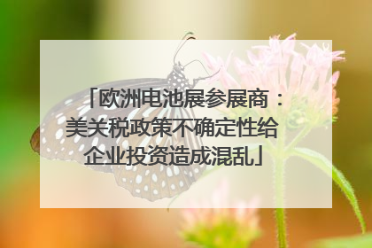欧洲电池展参展商：美关税政策不确定性给企业投资造成混乱
