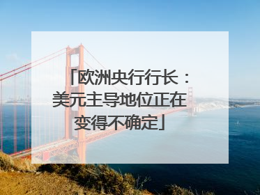欧洲央行行长：美元主导地位正在变得不确定