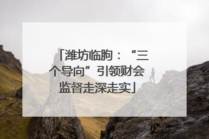 潍坊临朐：“三个导向”引领财会监督走深走实