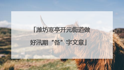 潍坊寒亭开元街道做好汛期“备”字文章