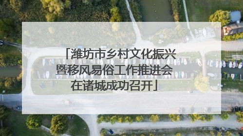 潍坊市乡村文化振兴暨移风易俗工作推进会在诸城成功召开