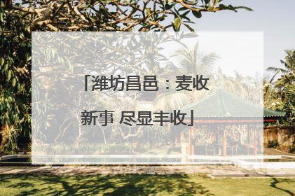 潍坊昌邑：麦收新事 尽显丰收