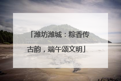 潍坊潍城：粽香传古韵，端午颂文明