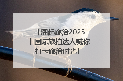 潮起廊洽2025丨国际旅拍达人喊你打卡廊洽时光