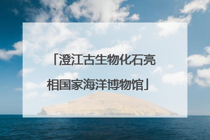 澄江古生物化石亮相国家海洋博物馆
