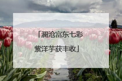 澜沧富东七彩紫洋芋获丰收