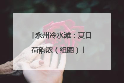 永州冷水滩：夏日荷韵浓（组图）