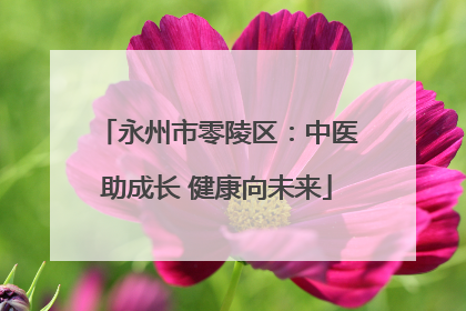 永州市零陵区：中医助成长 健康向未来