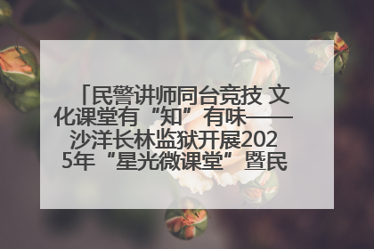 民警讲师同台竞技 文化课堂有“知”有味——沙洋长林监狱开展2025年“星光微课堂”暨民警优质课竞赛