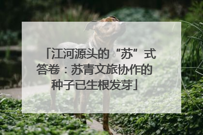江河源头的“苏”式答卷：苏青文旅协作的种子已生根发芽