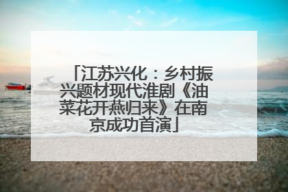 江苏兴化：乡村振兴题材现代淮剧《油菜花开燕归来》在南京成功首演