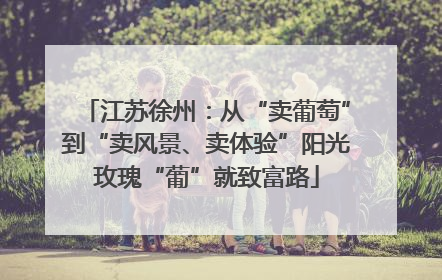 江苏徐州：从“卖葡萄”到“卖风景、卖体验”阳光玫瑰“葡”就致富路