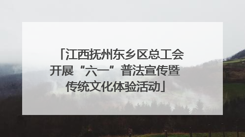 江西抚州东乡区总工会开展“六一”普法宣传暨传统文化体验活动