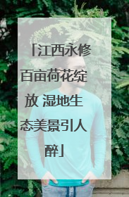 江西永修百亩荷花绽放 湿地生态美景引人醉