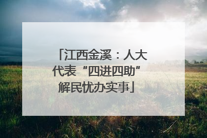 江西金溪：人大代表“四进四助”解民忧办实事
