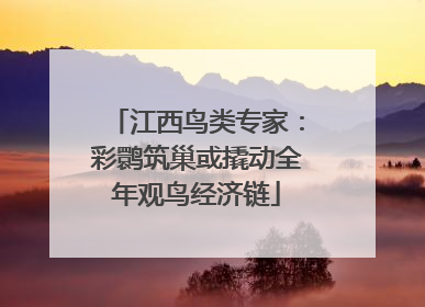 江西鸟类专家：彩鹮筑巢或撬动全年观鸟经济链