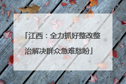 江西：全力抓好整改整治解决群众急难愁盼
