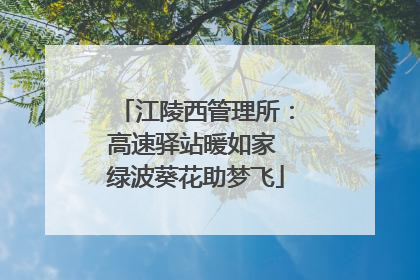 江陵西管理所：高速驿站暖如家 绿波葵花助梦飞