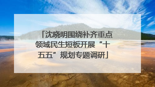 沈晓明围绕补齐重点领域民生短板开展“十五五”规划专题调研