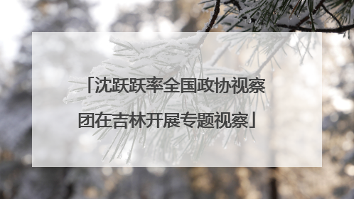 沈跃跃率全国政协视察团在吉林开展专题视察