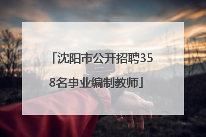 沈阳市公开招聘358名事业编制教师