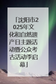 沈阳市2025年文化和自然遗产日主题活动暨公众考古活动季启幕