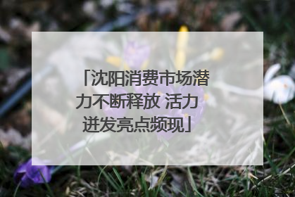沈阳消费市场潜力不断释放 活力迸发亮点频现