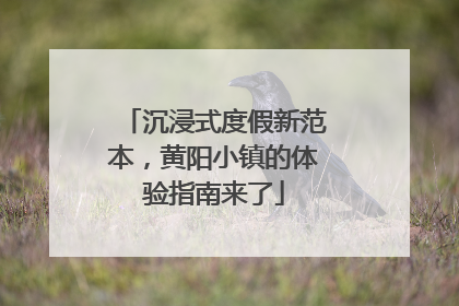 沉浸式度假新范本，黄阳小镇的体验指南来了