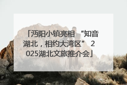 沔阳小镇亮相 “知音湖北，相约大湾区” 2025湖北文旅推介会
