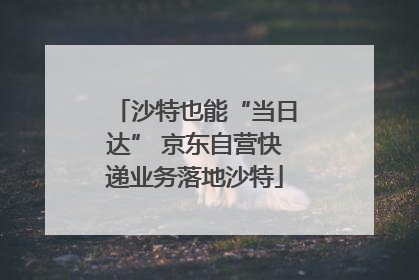 沙特也能“当日达” 京东自营快递业务落地沙特