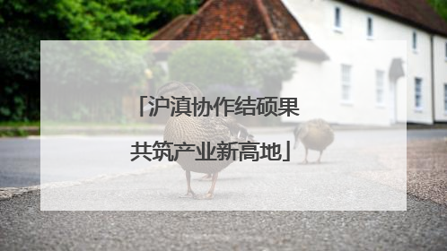 沪滇协作结硕果 共筑产业新高地