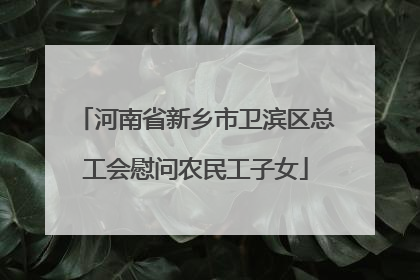 河南省新乡市卫滨区总工会慰问农民工子女
