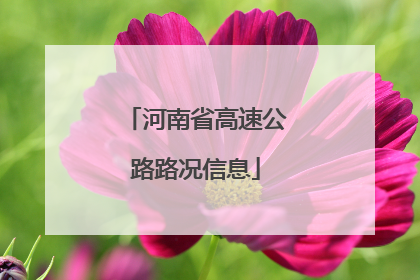 河南省高速公路路况信息