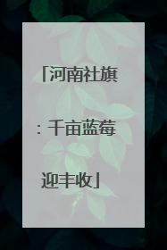 河南社旗：千亩蓝莓迎丰收