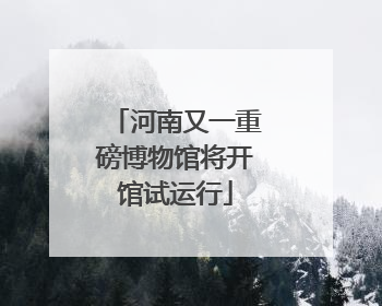 河南又一重磅博物馆将开馆试运行