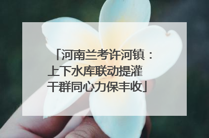 河南兰考许河镇：上下水库联动提灌 干群同心力保丰收