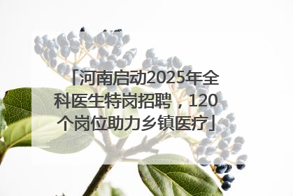 河南启动2025年全科医生特岗招聘，120个岗位助力乡镇医疗