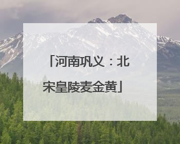 河南巩义：北宋皇陵麦金黄