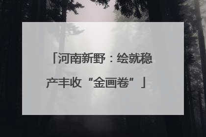 河南新野：绘就稳产丰收“金画卷”