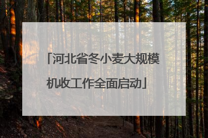 河北省冬小麦大规模机收工作全面启动