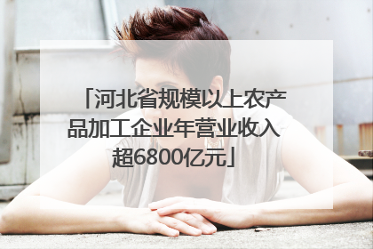 河北省规模以上农产品加工企业年营业收入超6800亿元