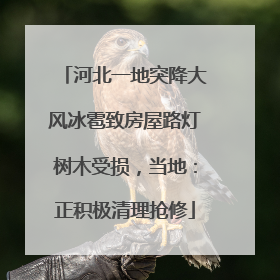 河北一地突降大风冰雹致房屋路灯树木受损，当地：正积极清理抢修