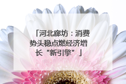 河北廊坊：消费势头稳点燃经济增长“新引擎”