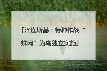 泽连斯基：特种作战“蛛网”为乌独立实施