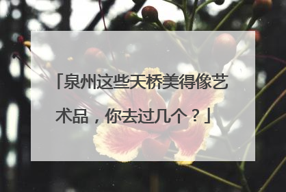 泉州这些天桥美得像艺术品，你去过几个？