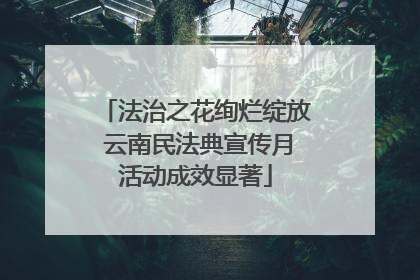 法治之花绚烂绽放 云南民法典宣传月活动成效显著